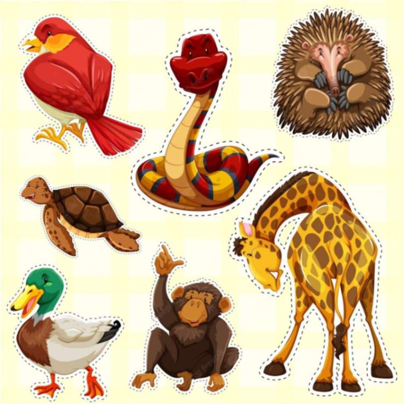 Cute Animals Stickers  Buy Cute Animals Stickers Online